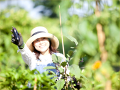 貸し農園レンタルファームの様子